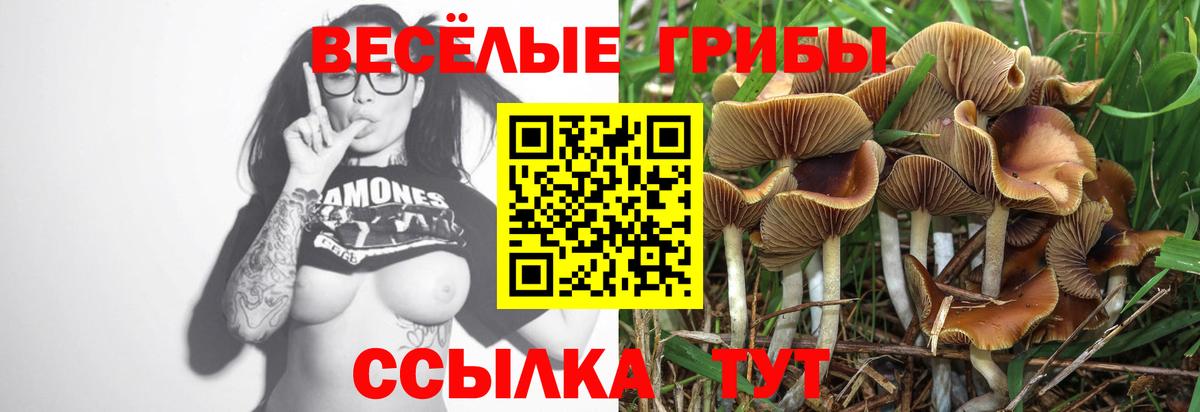 Псилоцибиновые грибы мицелий  Галлюциногенные грибы мицелий  Обнинск  цена   Вход с VPN 
